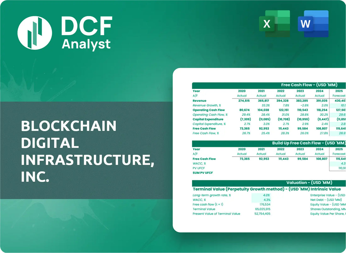 (AIB) BlockchAIn Digital Infrastructure, Inc. Discounted Cash Flow Financial Model