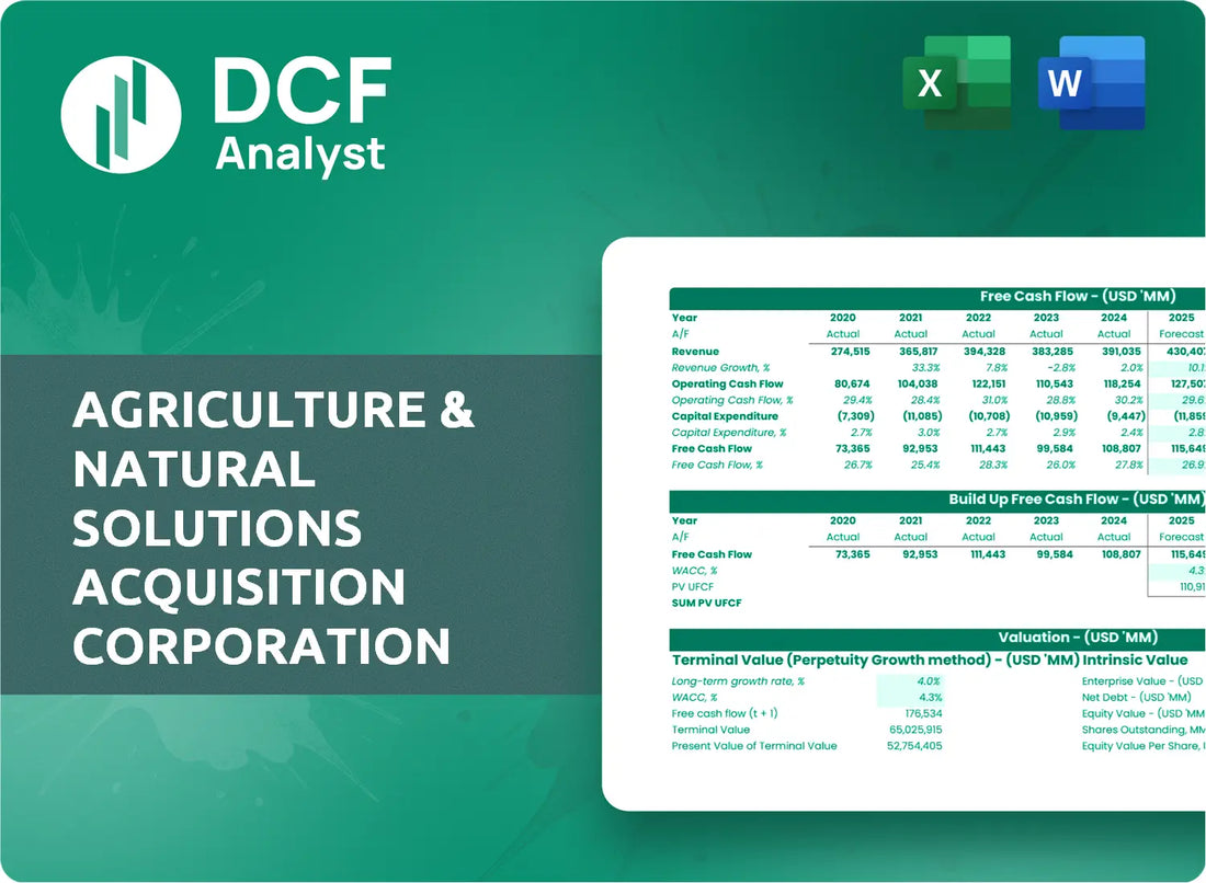 (ANSC) Agriculture & Natural Solutions Acquisition Corporation Discounted Cash Flow Financial Model