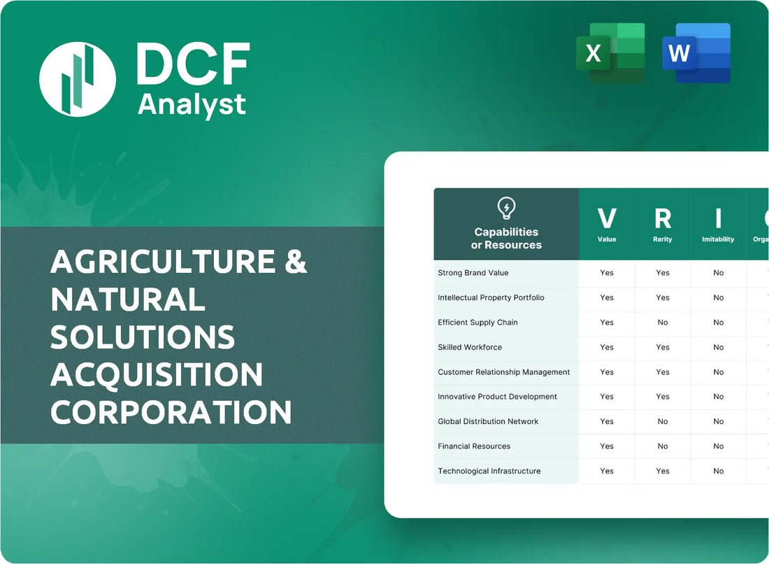(ANSC) Agriculture & Natural Solutions Acquisition Corporation VRIO Analysis Research