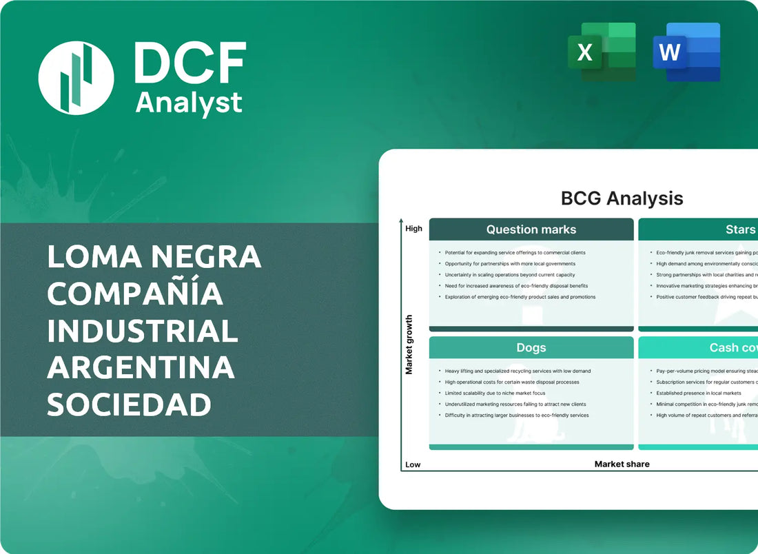 (LOMA) Loma Negra Compañía Industrial Argentina Sociedad Anónima BCG Matrix Research