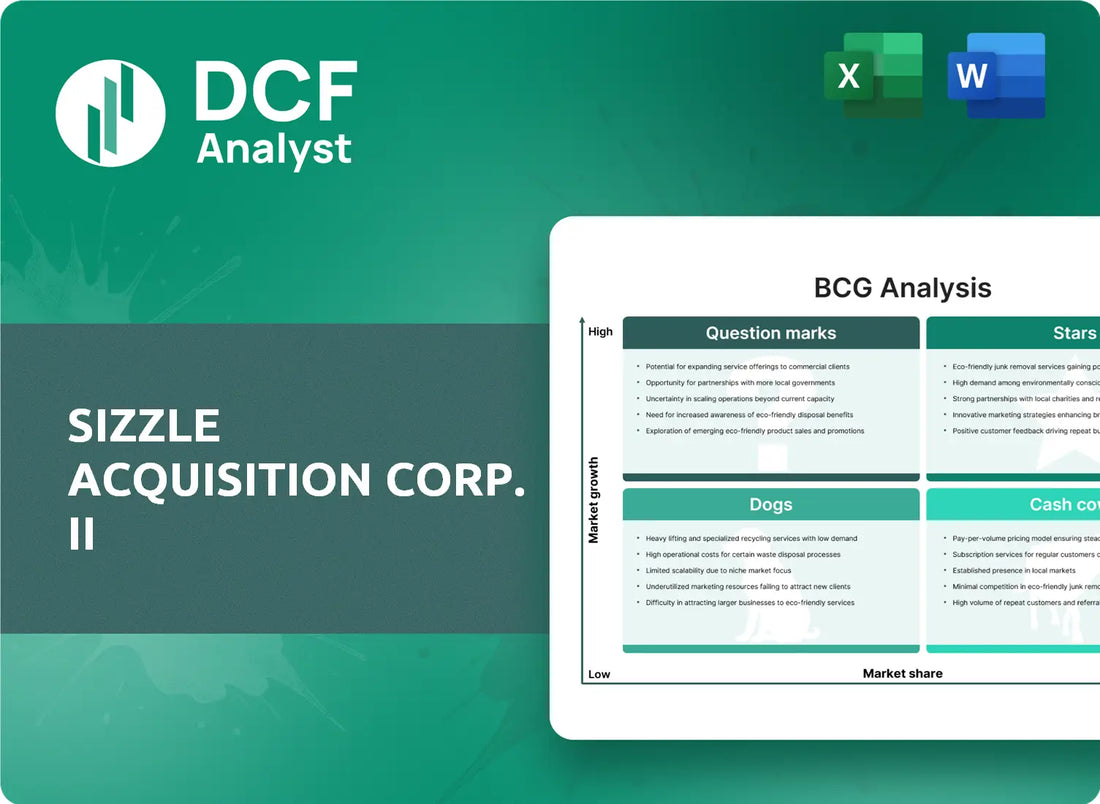 (SZZL) Sizzle Acquisition Corp. II BCG Matrix Research