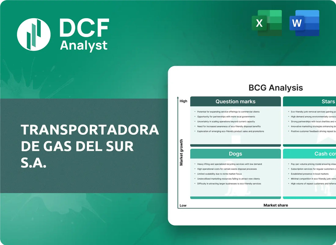 (TGS) Transportadora de Gas del Sur S.A. BCG Matrix Research